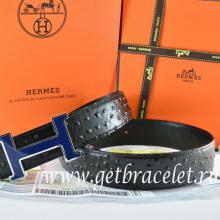Perfect Hermes Reversible Belt Blue/Black Ostrich Stripe Leather With 18K Blue Silver Narrow H Buckle