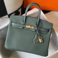 Hermes Birkin 25cm Handbag In Vert Amande Clemence Leather