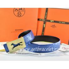 Hermes Reversible Belt Blue/Black Ostrich Stripe Leather With 18K Gold Hollow Horse Buckle