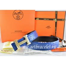 Hermes Reversible Belt Blue/Black Ostrich Stripe Leather With 18K Gold Spot Stripe H Buckle Replica