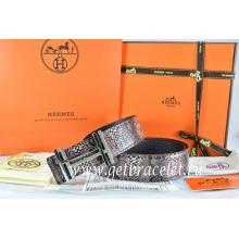 Hot Fake Hermes Reversible Belt Brown/Black Snake Stripe Leather With 18K Silver H Au Carre Buckle