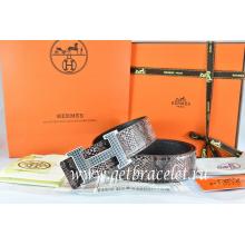 Hermes Reversible Belt Brown/Black Snake Stripe Leather With 18K Silver Wave Stripe H Buckle Replica